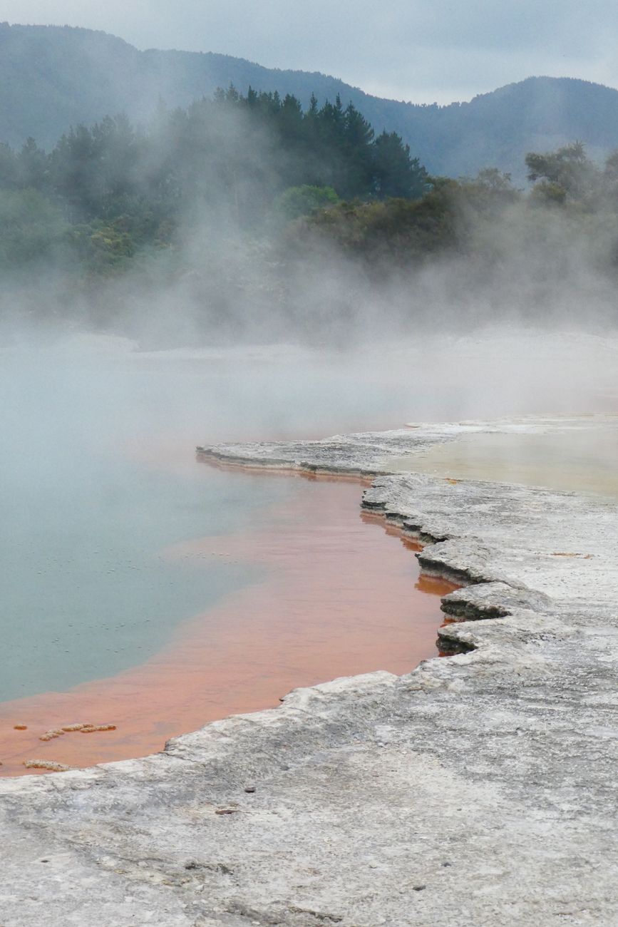 Geothermal steaming valley in Wai-O-Tapu Rotorua